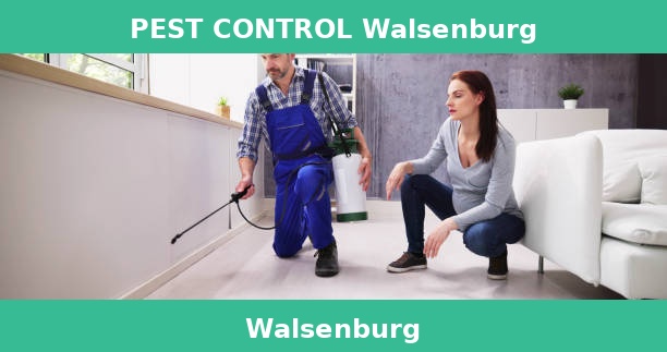 PEST CONTROL Walsenburg